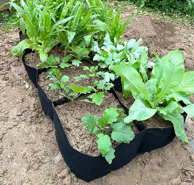 2PCS 6x3x1ft Fabric Raised Garden Bed,128 Gallon 8 Grids Rectangle Plant Grow Bags,Durable Outdoor Planter Raised Beds Pot for Growing Herbs Flowers Vegetables Potatoes Carrots