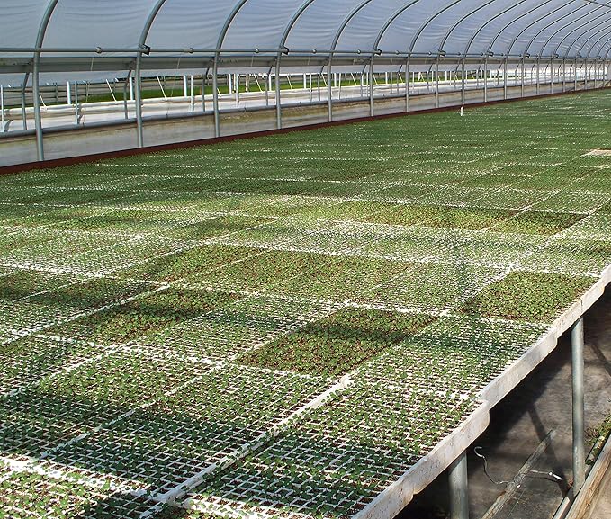 RSI Hydroponic Seed Tray 128 & 242 Plugs