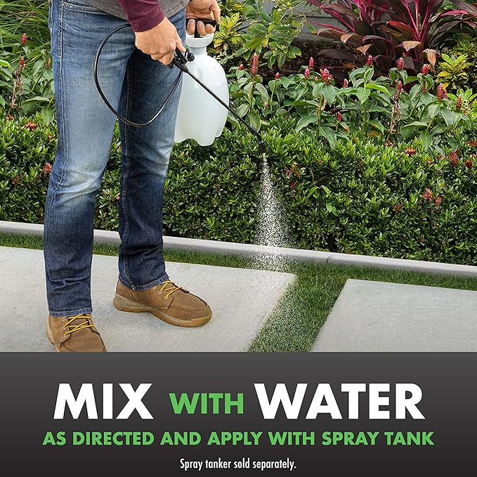 Spectracide Triazicide Insect Killer For Lawns And Landscapes Concentrate 40 Ounces