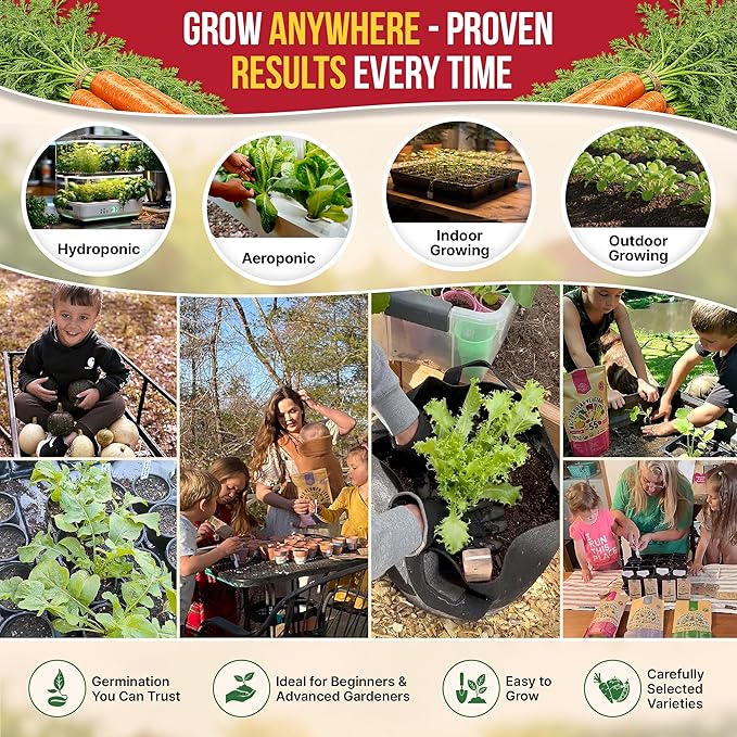 Organo Republic Imperator 58 Carrot Seeds Pack 2G - Over 1800 of Non-GMO Heirloom Carrot Seeds for Planting Vegetables in Individual Seed Packet, Vegetable Seeds for Planting Indoor & Outdoor Garden