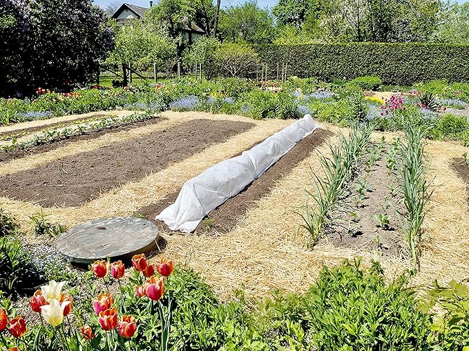 Blue Mountain Hay Organic Garden Straw (10 lb) - Natural Mulch for Gardening, Flower Beds & Landscaping, New Lawn Grass Seeding, Compost, Raised Garden Bed, Cat Grass & Grass Seed