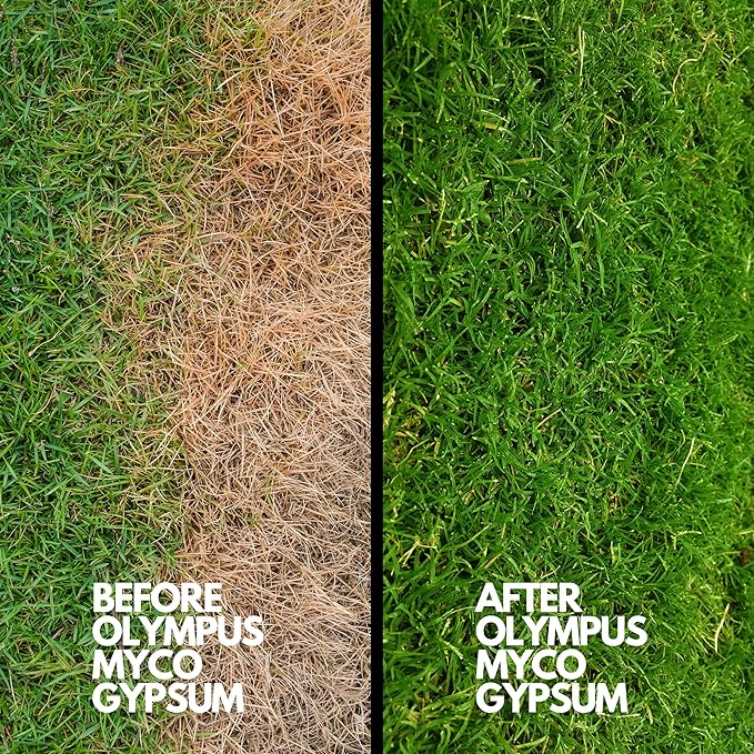 97% Pure Gypsum Powder – High Solubility Calcium Sulfate Dihydrate for Soil, Lawns, Gardens, and Mushroom Substrate – Packaged in HEPA Enclosure – 10 lb