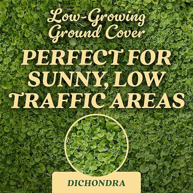 O.M. Scott and Sons Dichondra Seed, Lawn Seed for a Low-Maintenance, No-Mow Yard, Covers up to 1,500 sq. ft., 1.5 lb.
