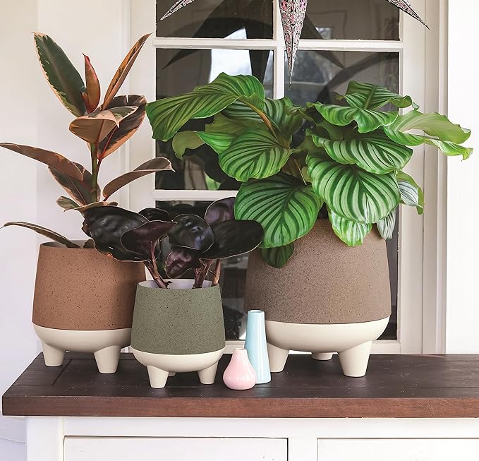 The HC Companies 8 Inch Orion Self Watering Planter - Lightweight Indoor Plastic Plant Pot for Herbs and Flowers, Muted Clay