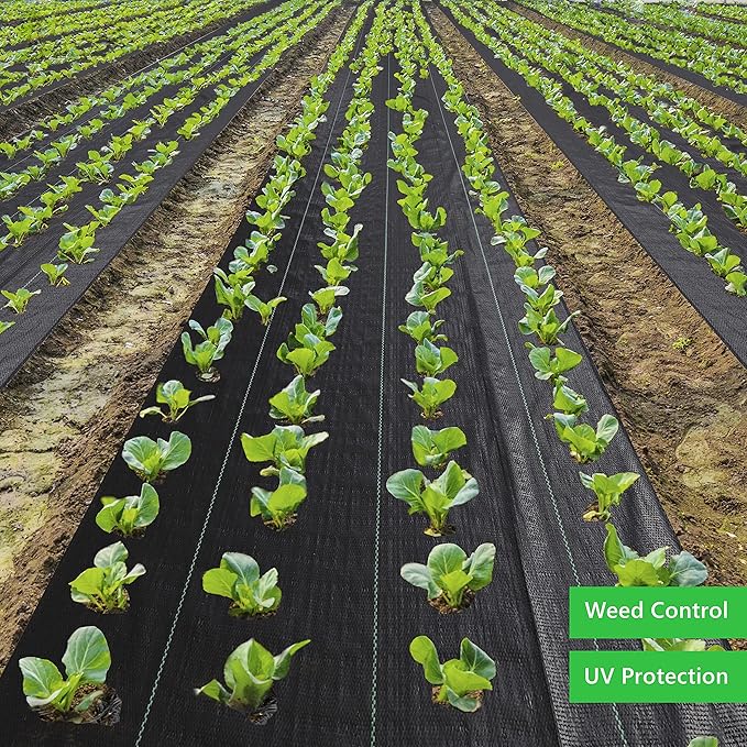 6.5FT x 300FT Weed Barrier Landscape Fabric Heavy Duty,Weed Blocker Fabric, Geotextile Fabric Under Gravel,Garden Tarp to Prevent Weeds, Landscaping Fabric, Driveway Fabric