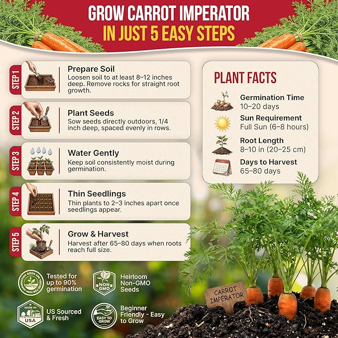 Organo Republic Imperator 58 Carrot Seeds Pack 2G - Over 1800 of Non-GMO Heirloom Carrot Seeds for Planting Vegetables in Individual Seed Packet, Vegetable Seeds for Planting Indoor & Outdoor Garden