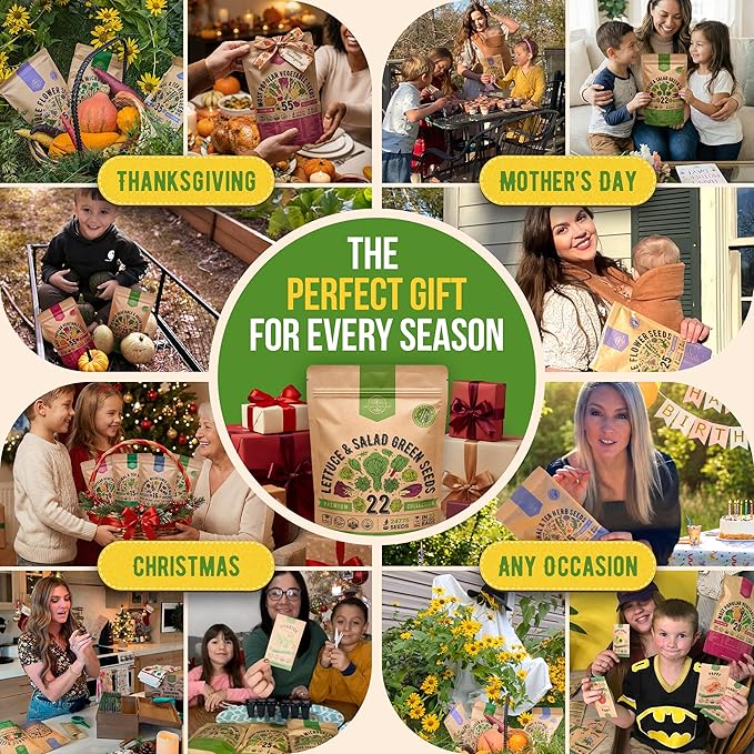 Organo Republic 22 Lettuce & Salad Greens Seeds Variety Pack 24,700+ Non-GMO Heirloom Lettuce Seeds for Indoor & Outdoor Garden, Hydroponic & Aeroponic - 2026 Season - Arugula, Spinach, Swiss Chard