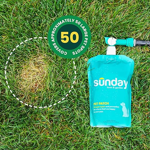 Sunday Pet Patch - Lawn Spots Repair - Repair & Prevent Grass Pet Spots - Easy Hose-On Formula - Covers Up to 2,500 sq ft - 2 Pack - 42 Fl Oz