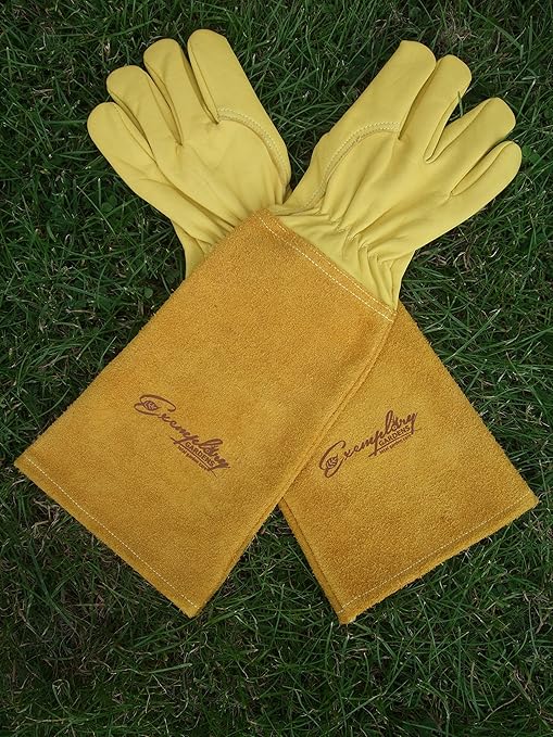 Rose Pruning Gloves for Men and Women - Thorn Proof Goatskin Leather Gardening Gloves with Gauntlet (Medium, Yellow)