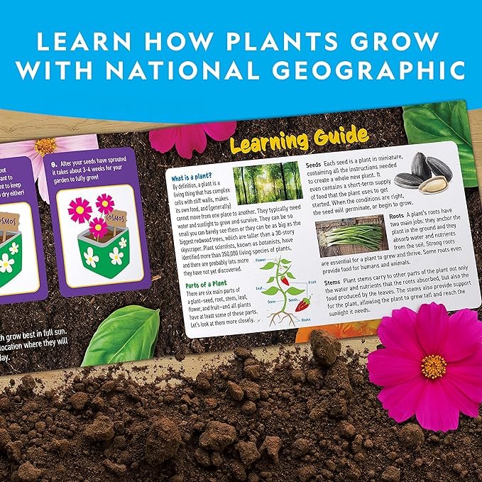 National Geographic Flower & Herb Gardening Kit for Kids - Kids Gardening Set with 3 Stainless Steel Pots, Paint & Stickers, Outdoor Toys, Craft Kits, Plant Growing Kit, Easter Basket Stuffers